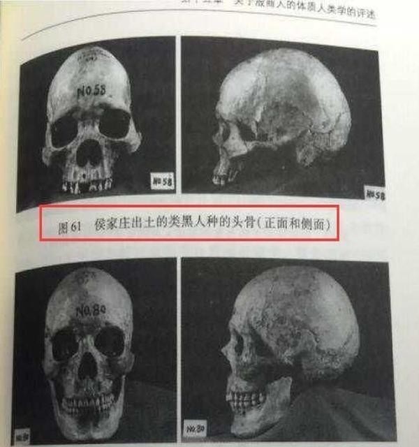 中华民族|殷墟出土大量黑人头骨,学者研究完感慨:妇好拯救了中华民族!