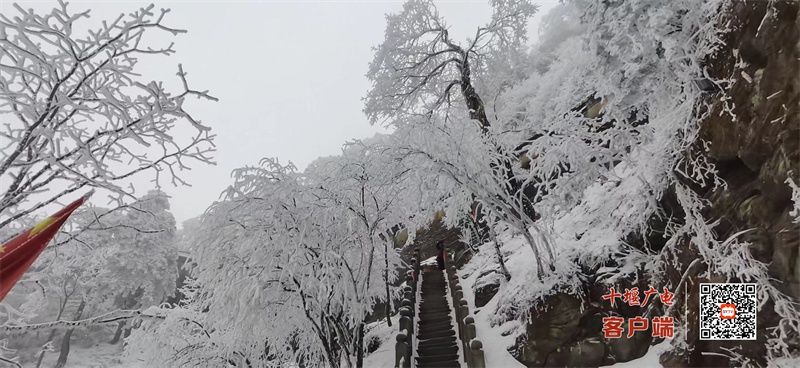 武当山|武当山24节气养生信——雨水