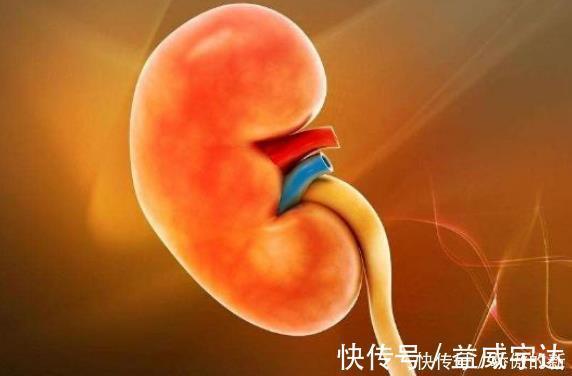 肾功能|晨起时若没4个现象，说明肾脏还很健壮，若你有，别不当回事