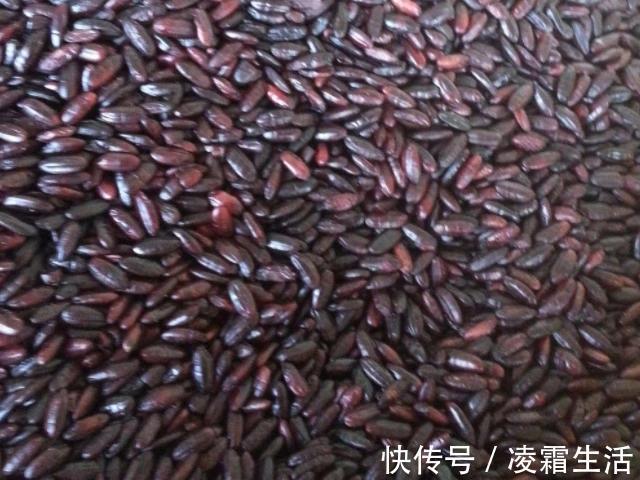 营养物质|孕妈在孕期,4物没事换着吃,或对胎儿大脑发育有好处