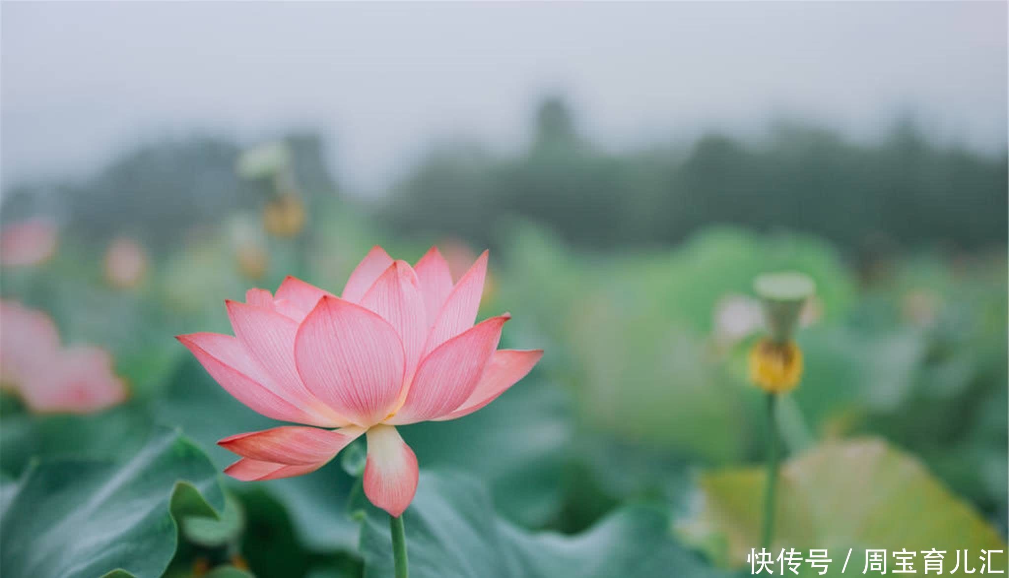 说话做事，若不顾后果，必然会自食其果