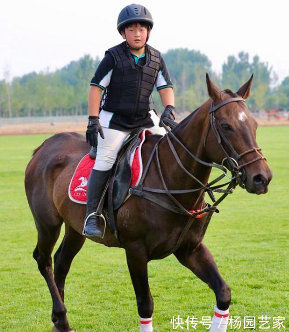 《媽超》和《爸哪》中的娃咋樣了?胖軒進國家隊,諾一撞臉丁真