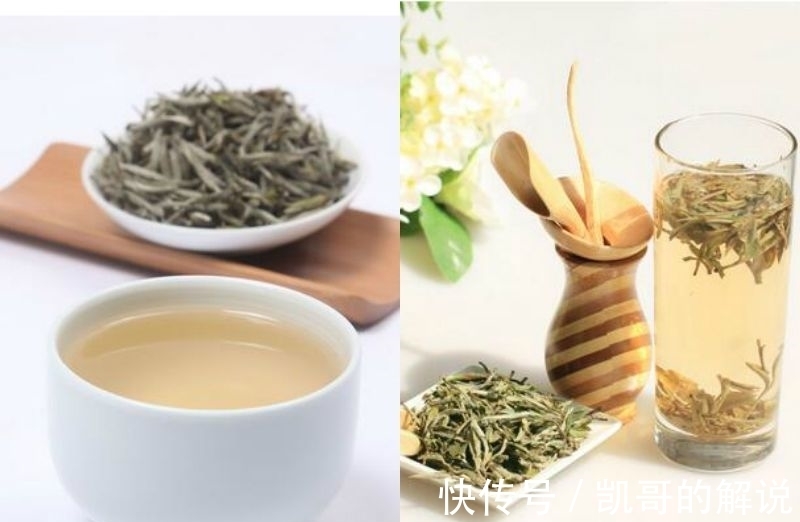 白毫银针!白毫银针和白牡丹区别有哪些?哪种更好喝?