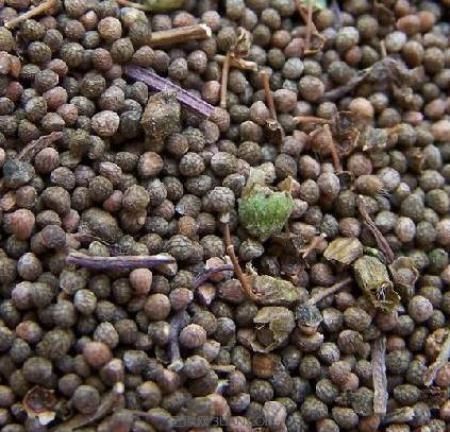  介绍|57种香料特性介绍喜欢的收藏