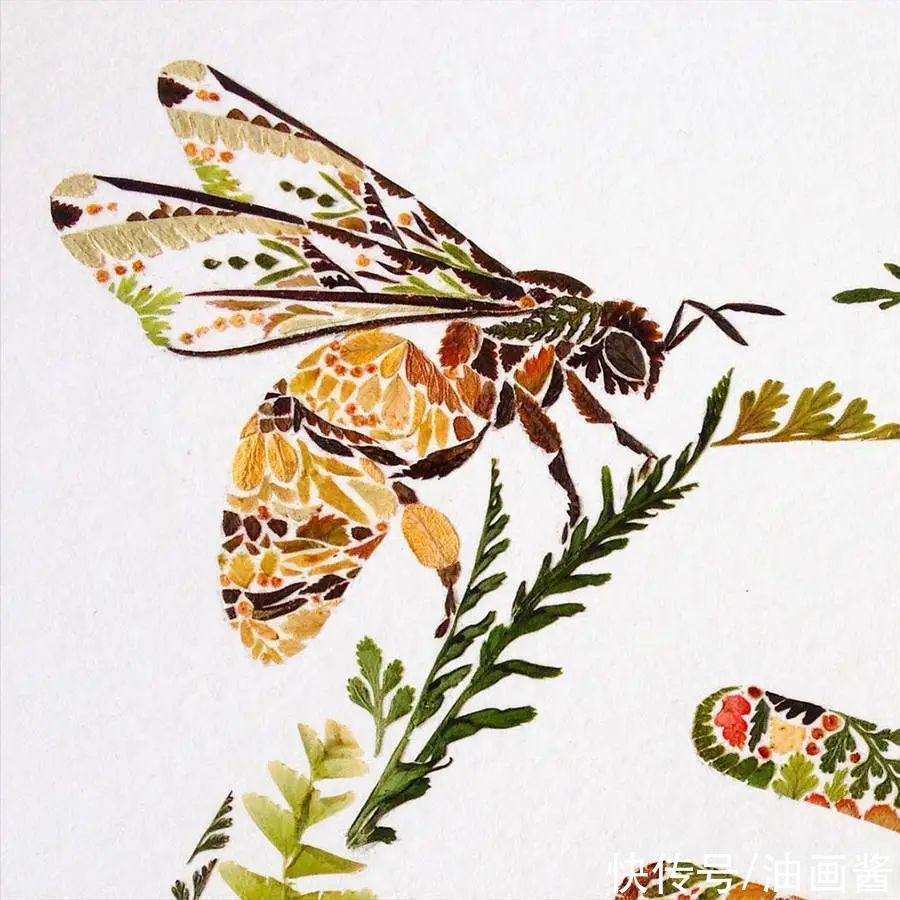 艺术作品&她画画的材料是花瓣,工具是把刀,直接用刀刻出画