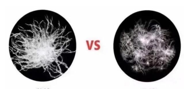 今年羽绒服变得好时髦!买这些,好看保暖又能凸显你的品味