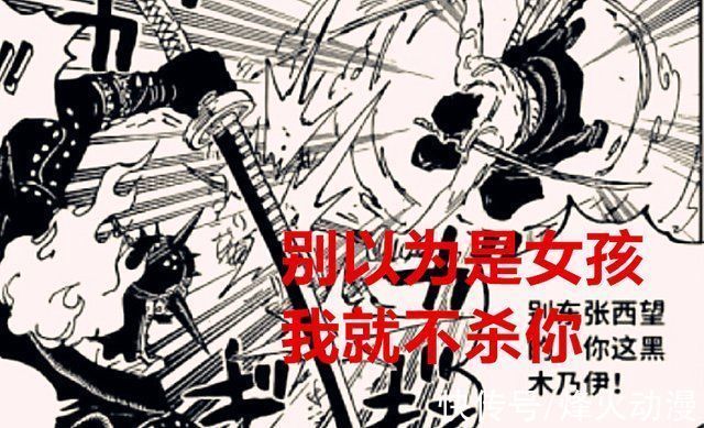尾田|海贼王1027话两级反转烬可能是一个女生,桃之助战力升级