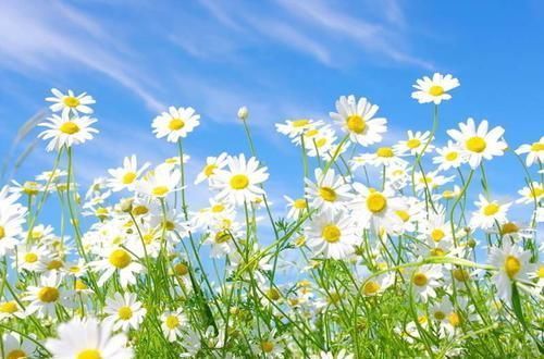 食物|睡眠不好的人，不妨多吃这5种食物，让你倒头就睡，一夜好梦