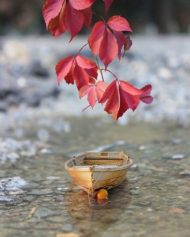 在你身边#越读越有味的人生格言,句句经典,引人深思