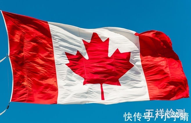 电话号码|亚马逊各国售卖儿童学习用品要求指南