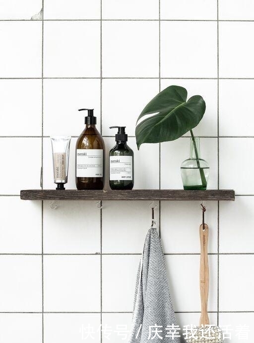 媳妇儿,你把卫生间都种成了花园,人家都不好意思在里面蹲坑了!