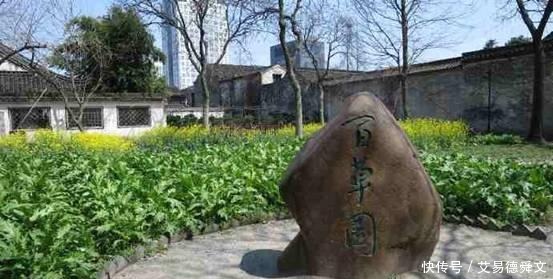  竟然|清代最后一场科举舞弊案，竟然改变了鲁迅家族的命运