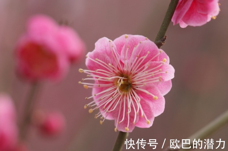 |12月,4个星座,幽默乐观,去哪都是欢声笑语,让人喜欢,桃花旺