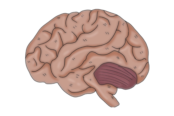 金鸡独立|50岁后,如果能毫不费力的完成2个动作,说明体质好,长寿或不难