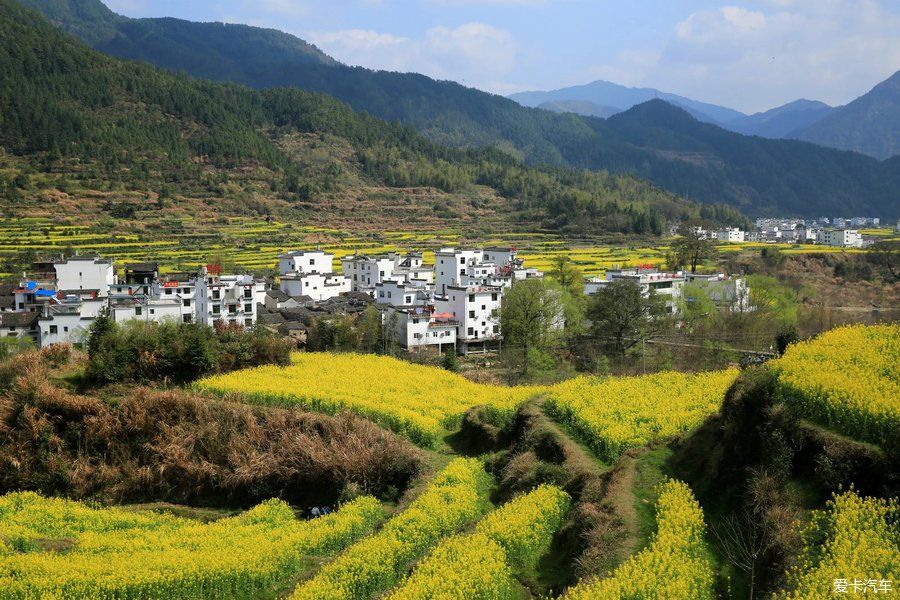 阳春三月，游婺源赏油菜花