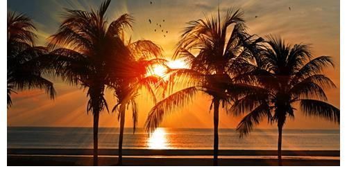 打小就特有天赋的四大生肖 出社会后风生水起 好日子席卷而来 粉紫色 打小就特有天赋的四大生肖 出社会后风生水起 好日子席卷而来 粉紫色