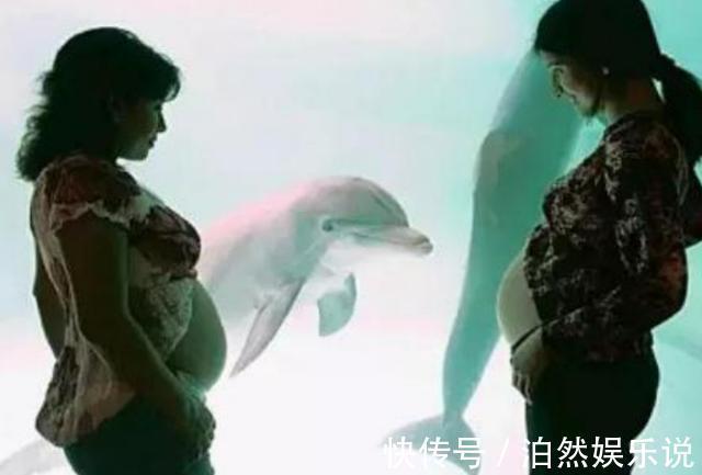 b超|孕妇去海洋馆,被海豚“吻”了肚子,医生恭喜你做了天然B超