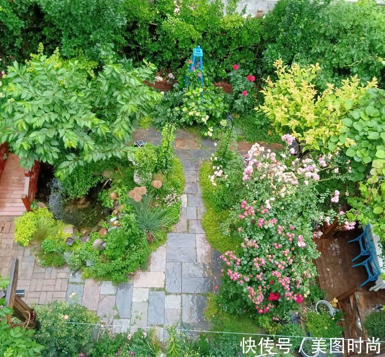 美好时光|花园改造:3年前买了栋带170㎡花园的房子,过上种花草的乡村生活