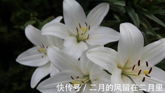 双鱼|11天，桃花温情，遇见真爱，生活美好，不负深情，不改心意