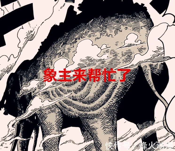 黑胡子|海贼王1037话:阿金骑着象主来了?杰克懵圈了,黑胡子又捡漏了