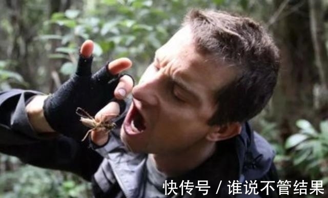 号称站在“食物链最顶端的男人”贝爷，为何还要专业的救助人士？