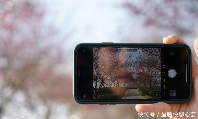 大陆阿里山，藏着中国最美樱花圣地，还登上《世界地理杂志》封面