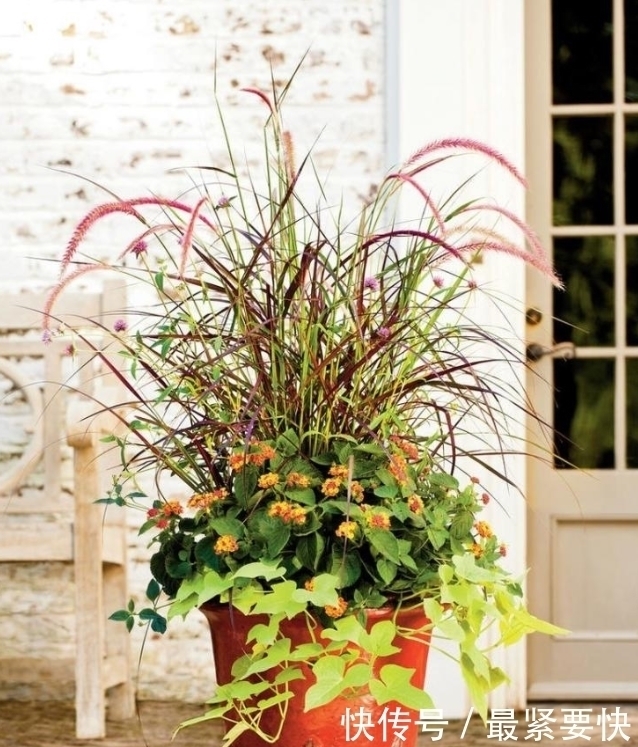 任何容器都能用来做花盆，请收好这30种美丽的花盆搭配设计