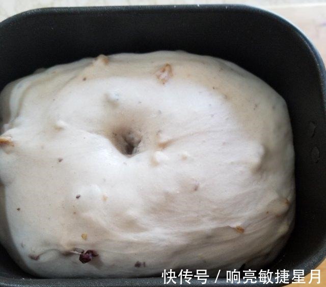 核桃蔓越莓软欧，外脆内软，越吃越香！