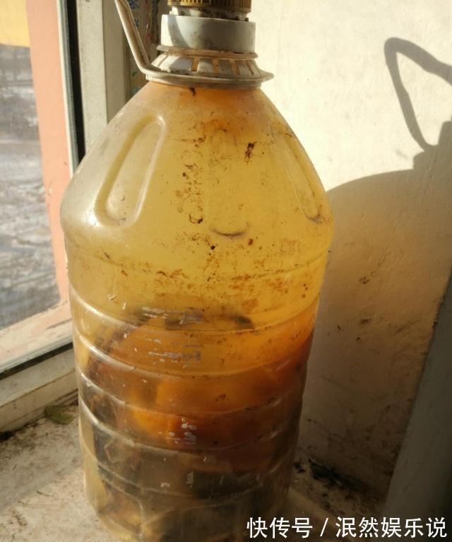 叶子花|阳台养此2种花,开花量比“月季”还大,枝枝满花,耐旱又好养