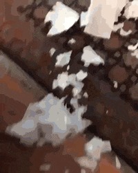 |搞笑GIF: 看着都觉得尴尬 下次就别在这种场合秀身材了