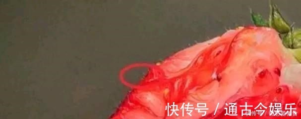 冷军&他画“啃半截”的草莓,卖出20万,放大30倍后专家道:根本不是画