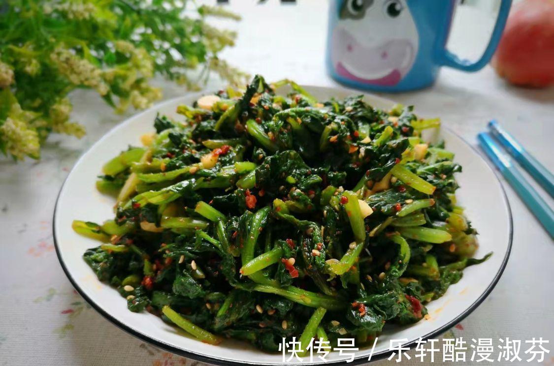 鲜嫩|蔬菜中的“人参”，叶子营养极高，9月正鲜嫩，鲜嫩翠绿特下饭！