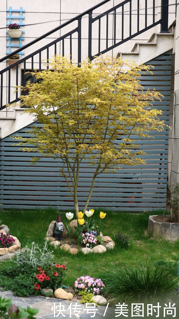 洋房|为了可以养花,我建了座小洋房,终于可以打造梦寐以求的花园了