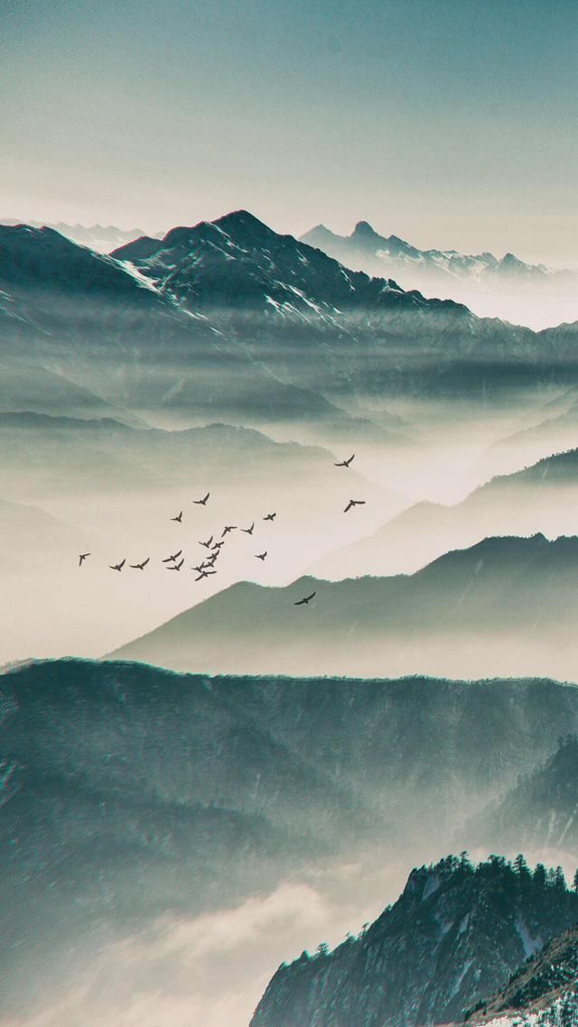 佳节|杜牧很著名的一首诗,秋天与老友一起爬山,短短8句清新流畅