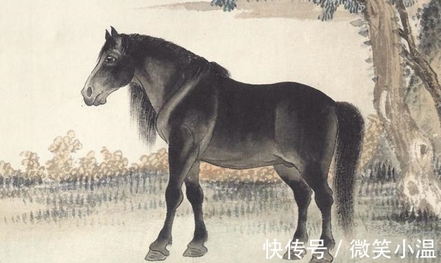 生肖|在未来10年里,运势大红大紫的3大生肖