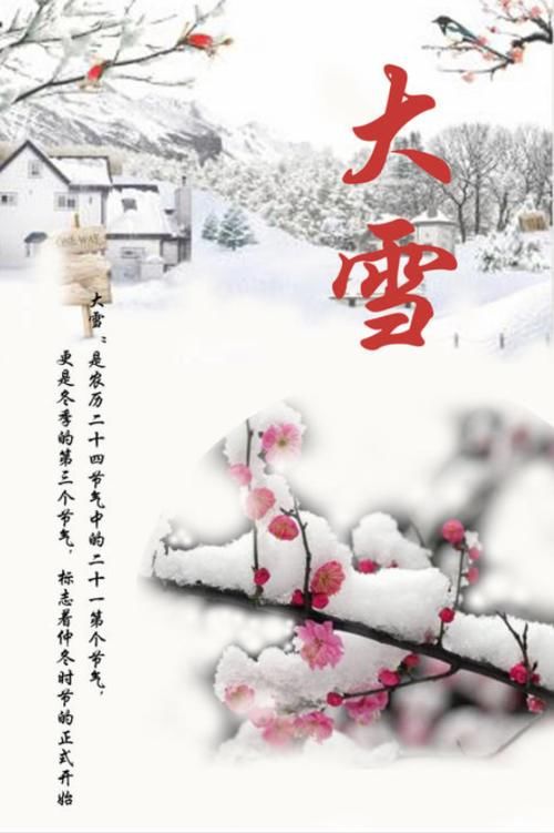  食物|“大雪”节气：居家别犯这三忌！三种白如雪的食物很养生