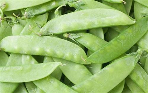 不饱和脂肪酸|聪明女性多吃3种食物,营养丰富、延缓衰老,早吃早健康!