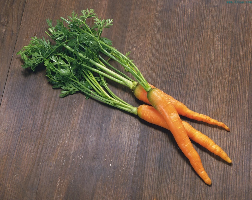 美食|女人少了黄体酮容易老得快，常吃几种美食，或许身体会更好