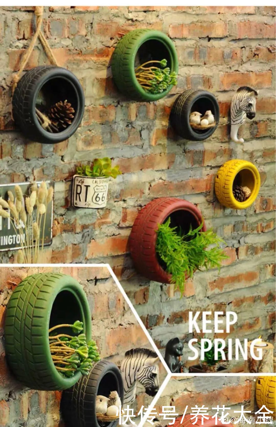 老干|旧筷子、老干妈瓶别扔,拿来养花效果好,省下一笔养花钱