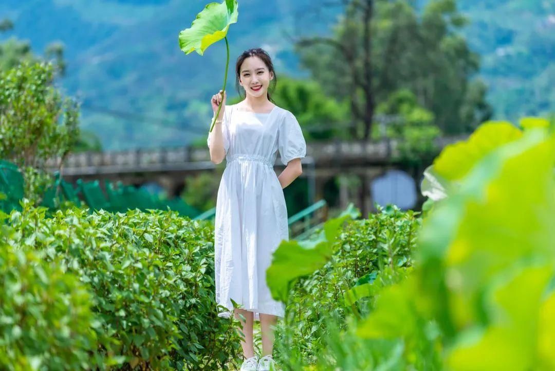 有山有水享清凉，打卡这些夏日好去处|清凉一夏·遇见星空 | 夏日