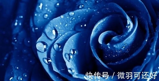 星座女|苦尽甘来,9月底财路畅通、收获喜人的4星座!