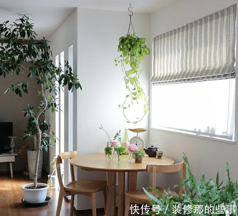 小两口之家,全屋布满绿植鲜花,把生活过成了诗,太美太治愈了