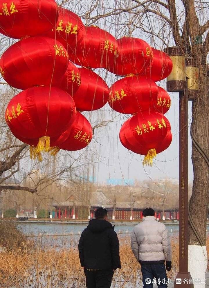 红灯笼|年关已到，大红灯笼围绕大明湖岸布置，营造出浓厚火热节日气氛