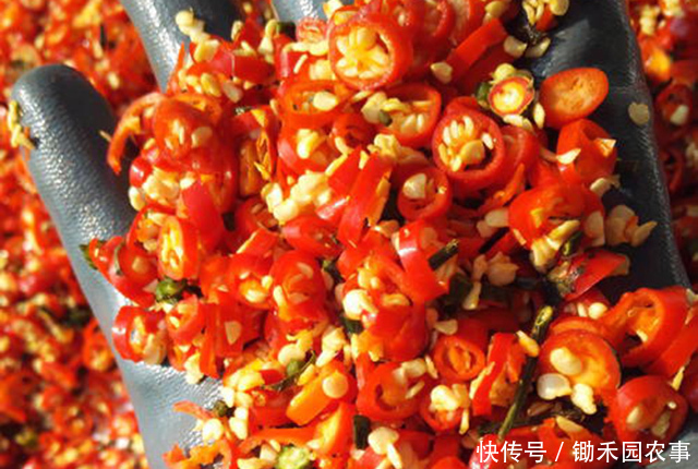快速|手切辣椒,反被辣椒辣到了,如何才能快速止辣?