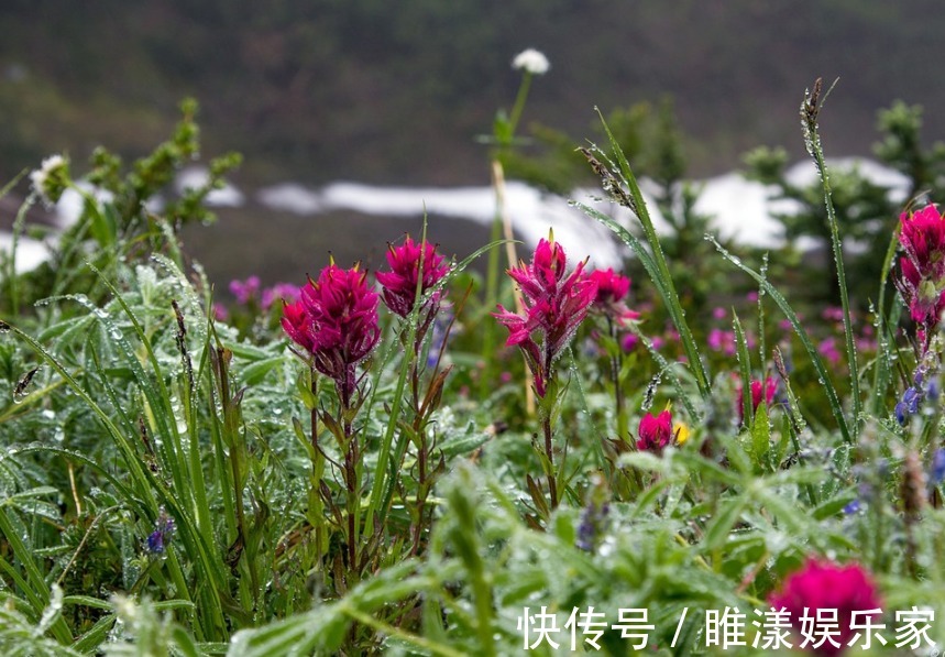 生肖女|让男人“降不住”的3生肖女，魅力无限，勾人魂魄，迷倒男人一片