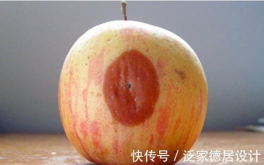 苹果|烂掉的苹果,以后别丢掉了,特别有价值,为健康早知晓!