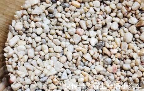 学会这9招，你也可以成为多肉种植高手