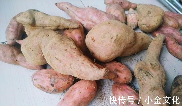 保存红薯,70岁的父亲教我1个土方法,红薯经久耐放,越放越甜