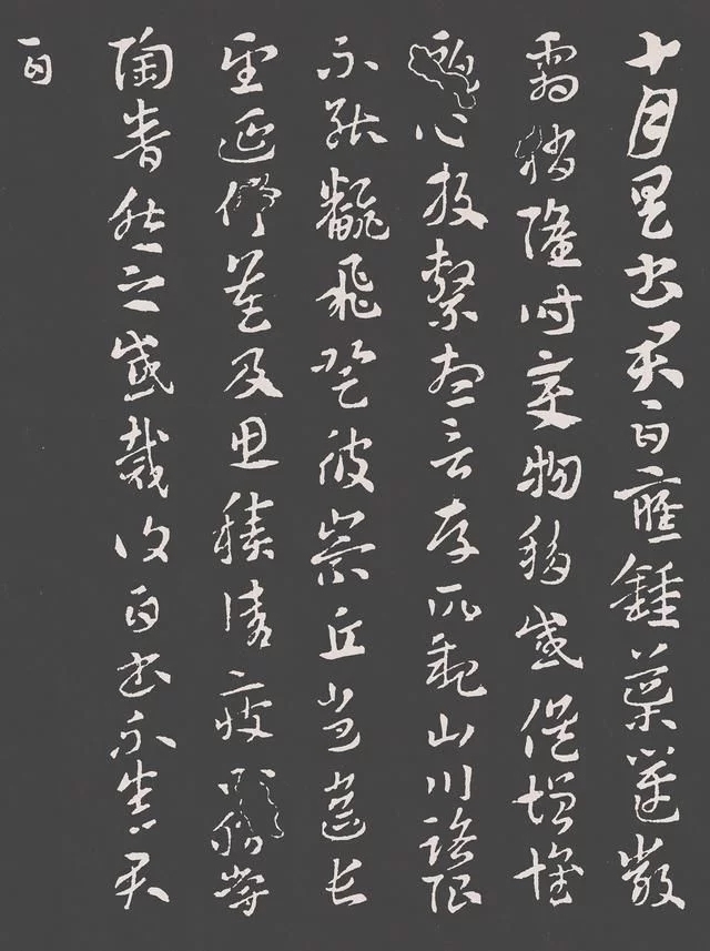 起飞|这件书法作品,其字态用“冬眠后的鸟刚要起飞”来形容,太形象了