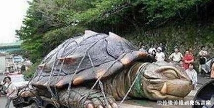 未解之谜之黄河巨龟事件 黄河巨龟是真的吗 快资讯
